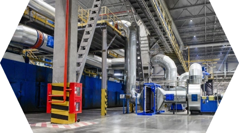 Делегация партнеров-дистрибьютеров на производстве